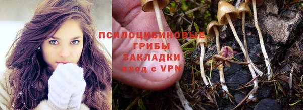 apvp Абинск